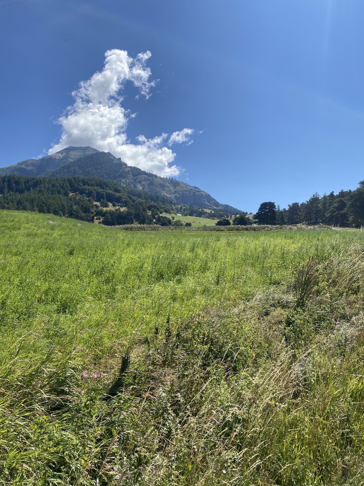 Pic Queyrel