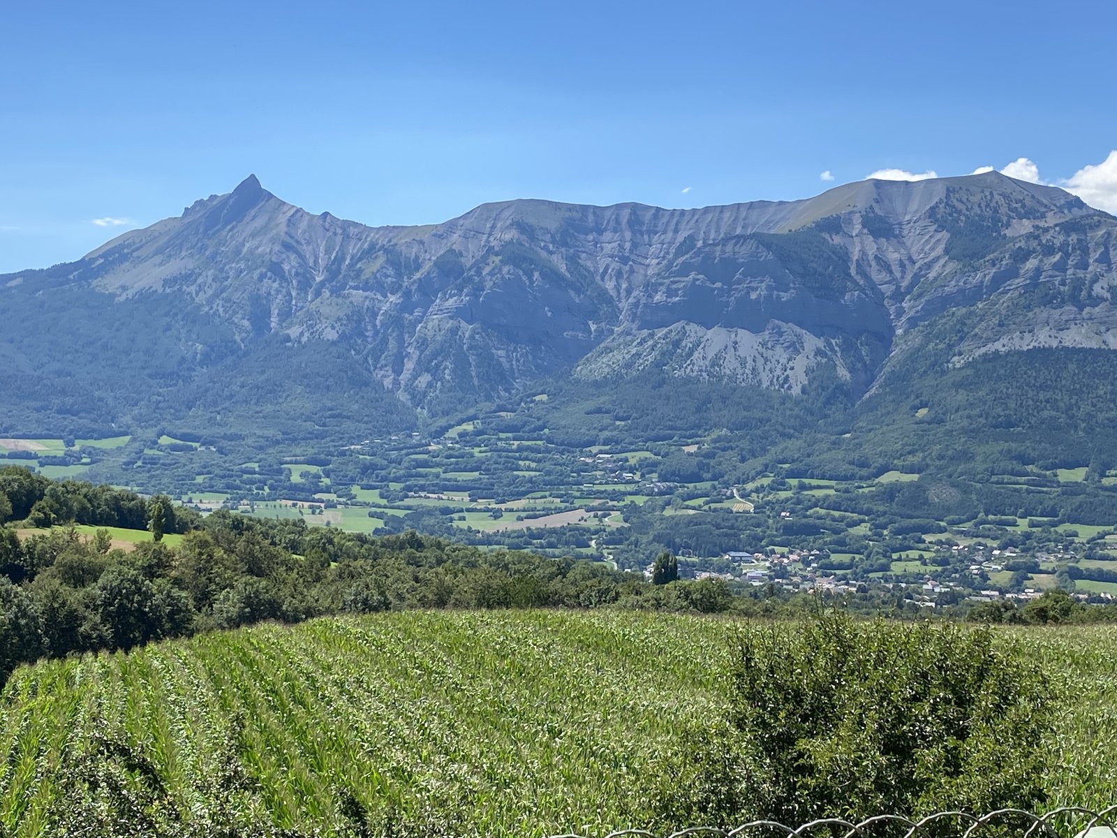 Vue estivale depuis La Rose des Vents